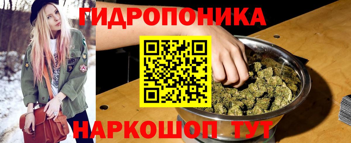 Шишки марихуана семена Кировск